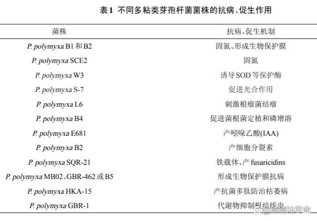 農(nóng)業(yè)生產(chǎn)中常見微生物菌劑功能大全(已登記菌劑)(圖3)
